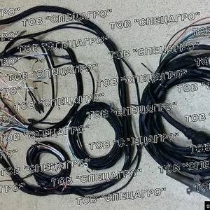 Жгуты Жгуты